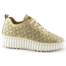 DOG28234 ZAPATO CASUAL...